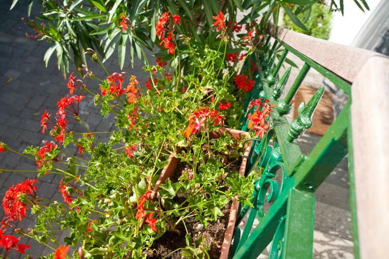 Pape Punat Hotel Ngoại thất bức ảnh